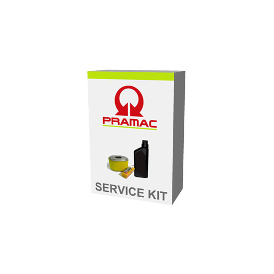 Pramac E3250/E4000 Service Kit